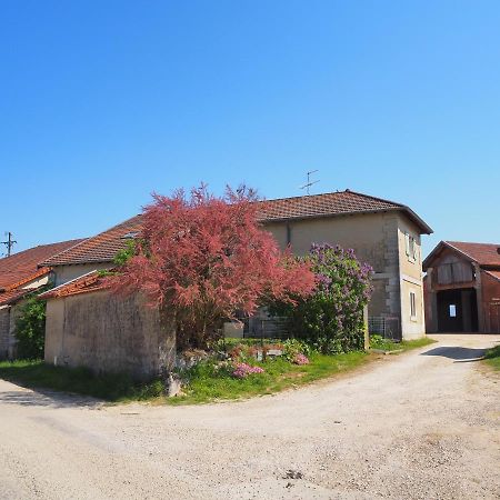 Le Gite Du Haut Châtillon-la-Palud 外观 照片