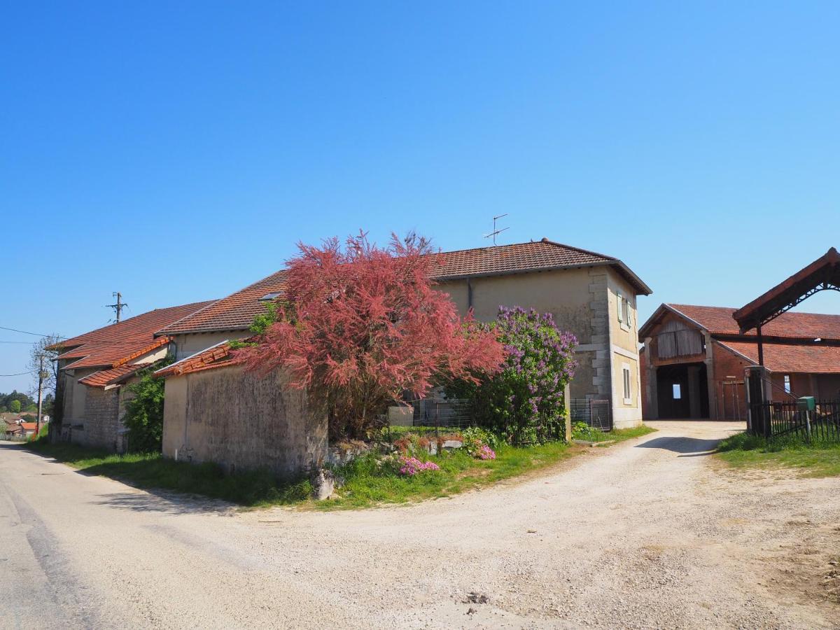 Le Gite Du Haut Châtillon-la-Palud 外观 照片
